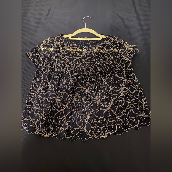 ZARA Short Sleeve Transparent Top (navy) - Picture 1 of 2